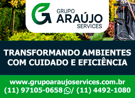 Grupo Ara�jo Services