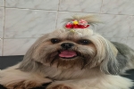 Foto 11