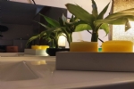 Foto 52
