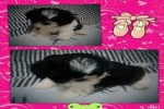 Foto 31