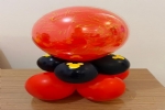 Foto 15