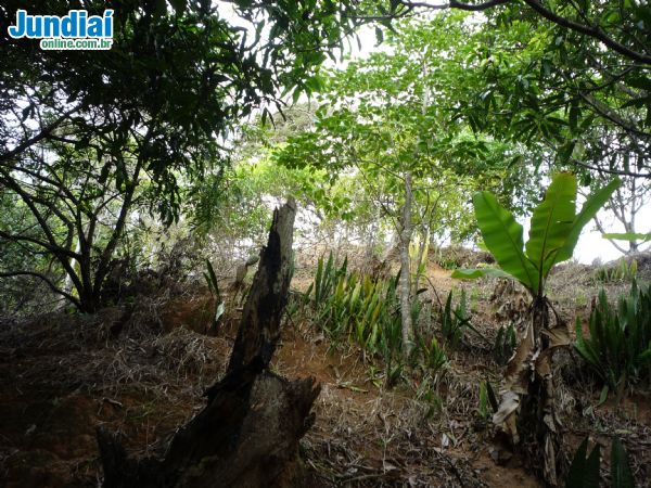 Terreno em , Louveira - Foto 20