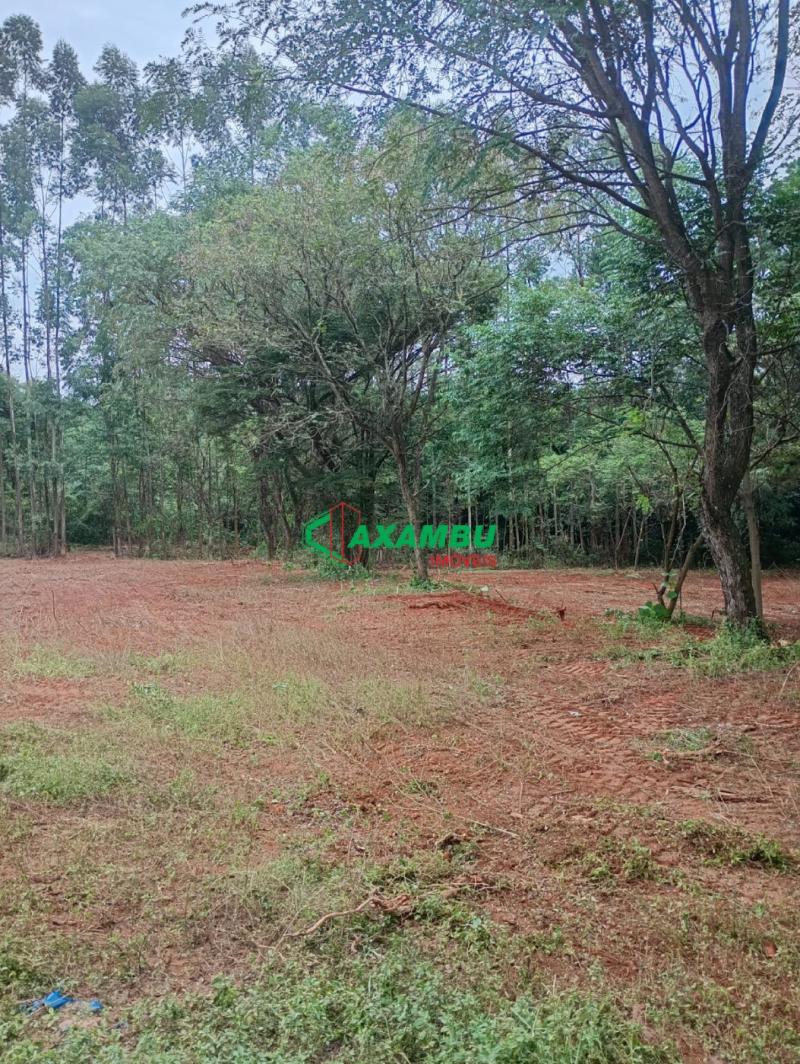 Terreno em JUNDIAÍ MIRIM, JUNDIAÍ - Terreno para locação em Jundiaí Mirim, 5.500 m² de área - Oportunidade única na cidade de Jundiaí-SP!