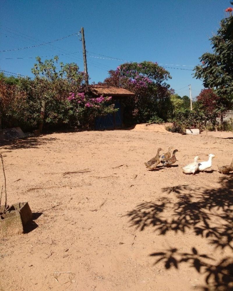 Chácara em MARACANÃ, VILA CAIOÇARA, Jarinu - Comprar ou permutar chácara, Jarinu  Caioçara 1.728 m² Vendo/Permuto - Foto 1
