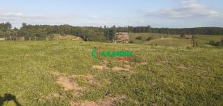 sitio em ROSEIRA, JUNDIAÍ - Foto 9