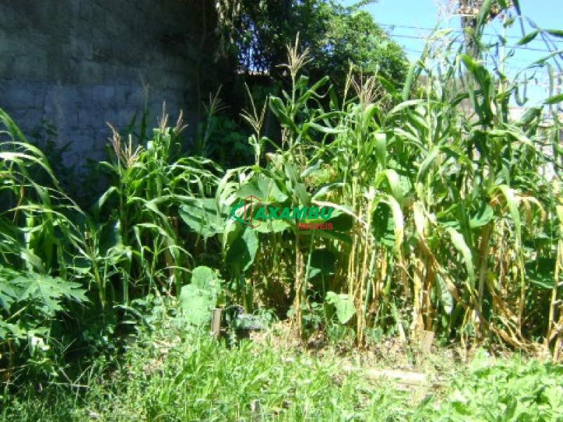 Terreno em JARDIM TAMOIO, JUNDIAÍ - TERRENO NO JARDIM TAMOIO EM JUNDIAÍ-SP - Foto 3