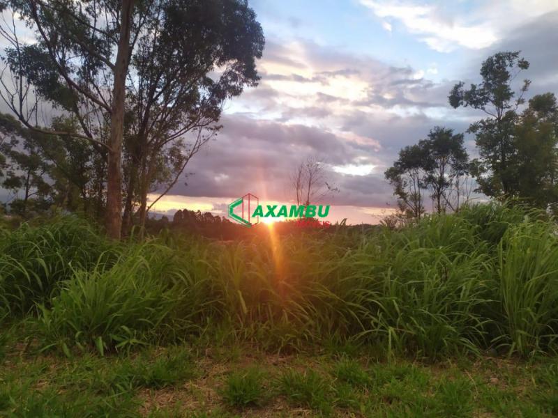 Terreno em CAXAMBU, JUNDIAÍ - Terreno à venda em Jundiaí-SP, bairro Caxambu, 463m² de área! - Foto 1