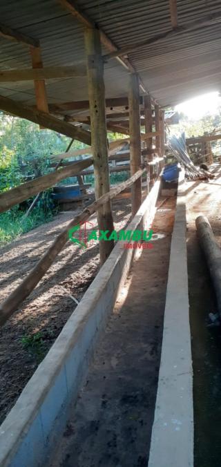 sitio em ROSEIRA, JUNDIAÍ - Foto 17