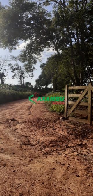 sitio em ROSEIRA, JUNDIAÍ - Foto 26