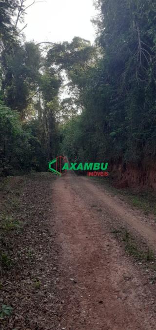 sitio em ROSEIRA, JUNDIAÍ - Foto 30