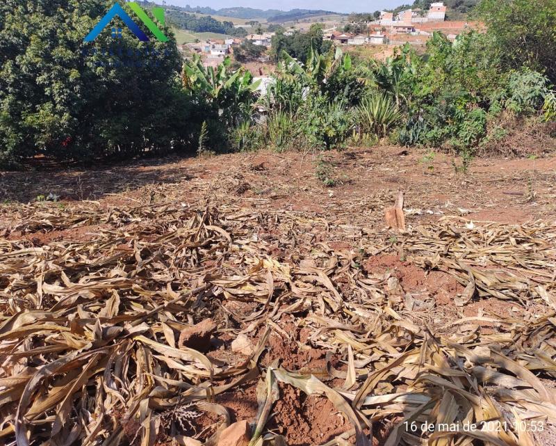 Terreno em Nova Trieste, Jarinu - Terreno para venda 250 m² Nova Trieste Jarinu-SP Brasil com documentos ok - Foto 1