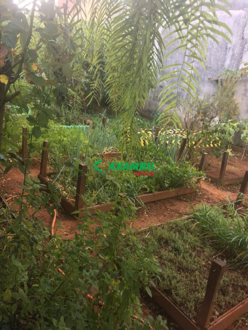 Terreno em VILA PROGRESSO, JUNDIAÍ - Terreno à venda em Jundiaí-SP, na Vila Progresso, com 322m² de área! - Foto 3