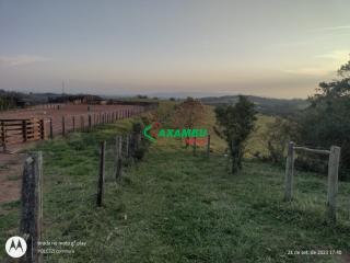 sitio em ROSEIRA, JUNDIAÍ - Foto 3