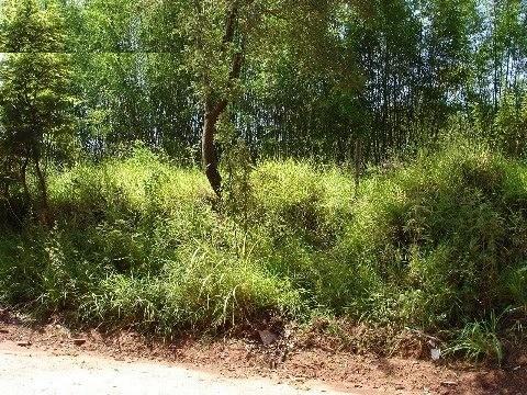 Terreno em CAXAMBU, JUNDIAÍ - terreno em CAXAMBU - Foto 2