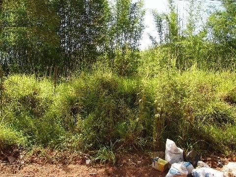 Terreno em CAXAMBU, JUNDIAÍ - terreno em CAXAMBU - Foto 1