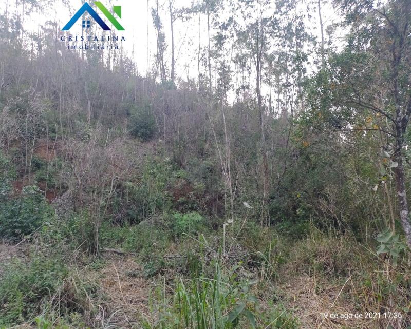 Terreno em VALE DAS CASTANHEIRAS, Campo Limpo Paulista - Comprar Terreno 5.195,97 m² Vale das Castanheiras Campo Limpo Paulista SP - Foto 1