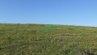 sitio em ROSEIRA, JUNDIAÍ - Foto 6