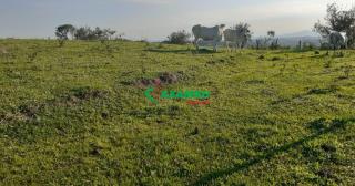 sitio em ROSEIRA, JUNDIAÍ - Foto 10