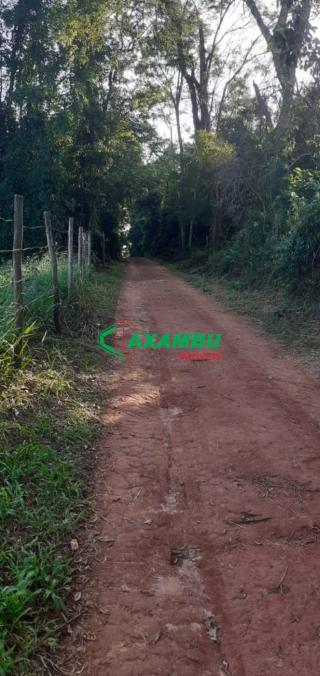 sitio em ROSEIRA, JUNDIAÍ - Foto 28