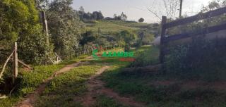 sitio em ROSEIRA, JUNDIAÍ - Foto 12
