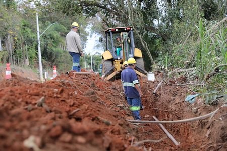 No Dia da Árvore, DAE destaca ações de restauração ambiental e proteção dos mananciais