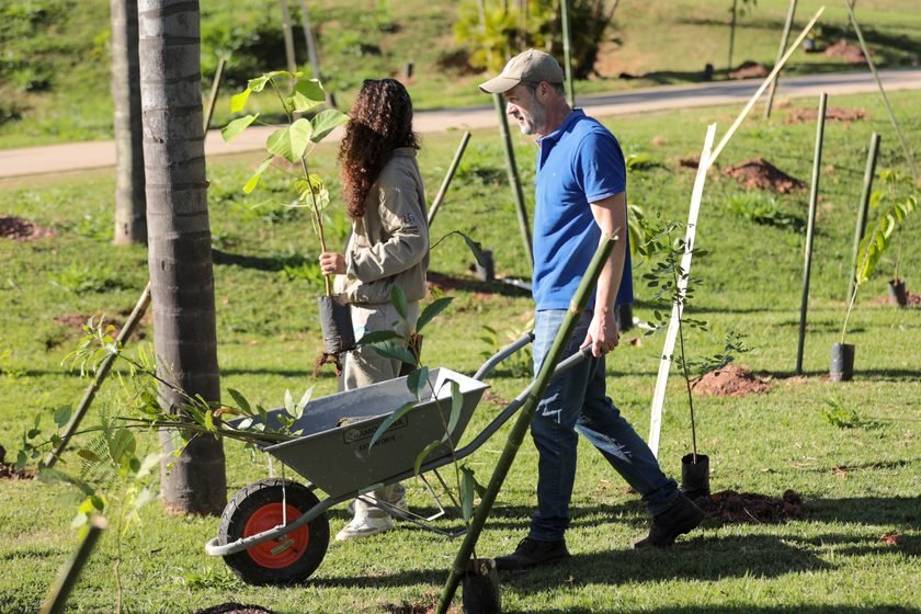 No Dia da Árvore, DAE destaca ações de restauração ambiental e proteção dos mananciais