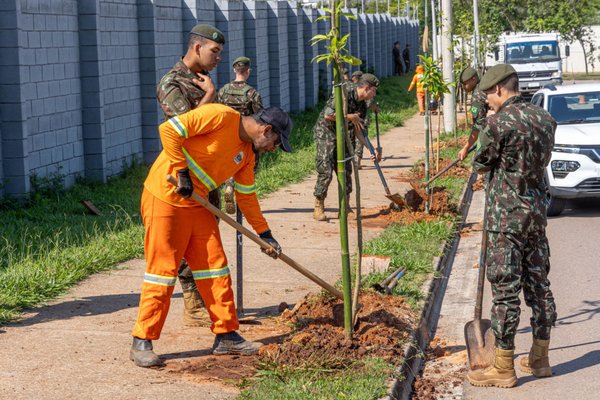 Mudas produzidas pela Unidade de Desenvolvimento Ambiental ampliam arborização de Jundiaí