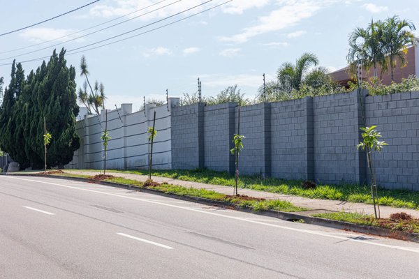Mudas produzidas pela Unidade de Desenvolvimento Ambiental ampliam arborização de Jundiaí