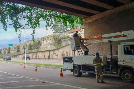 Mudas produzidas pela Unidade de Desenvolvimento Ambiental ampliam arborização de Jundiaí