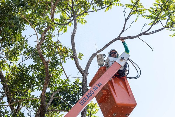 ‘Quem Ama, Cuida’: Prefeitura intensifica limpeza e roçagem nas margens do Rio Jundiaí. Ações de zeladoria em todas as regiões da cidade