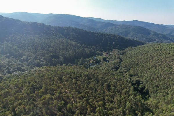 Com foco na prevenção, Divisão Florestal da GMJ integra ‘força-tarefa’ para mitigar efeitos de eventos climáticos extremos