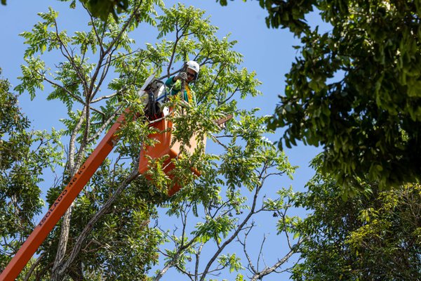 Jundiaí tem setembro mais chuvoso da história e atravessa período sem grandes ocorrências