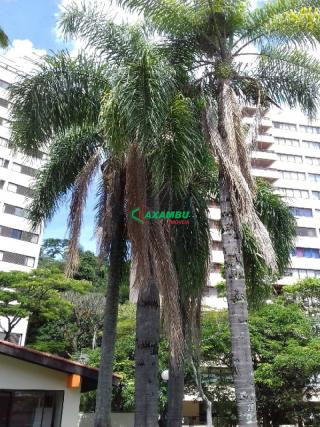 Apartamento em VILA RICA, JUNDIAÍ - Foto 46