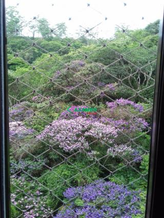 Apartamento em VILA RICA, JUNDIAÍ - Foto 21