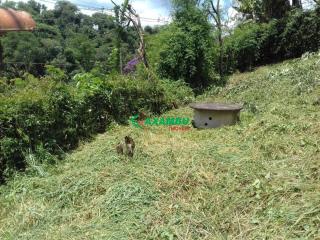 Terreno em ROSEIRA, JUNDIAÍ - Foto 7