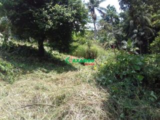 Terreno em ROSEIRA, JUNDIAÍ - Foto 4