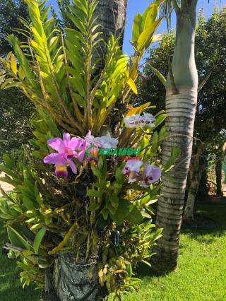Casa em CAXAMBU, JUNDIAÍ - Foto 7