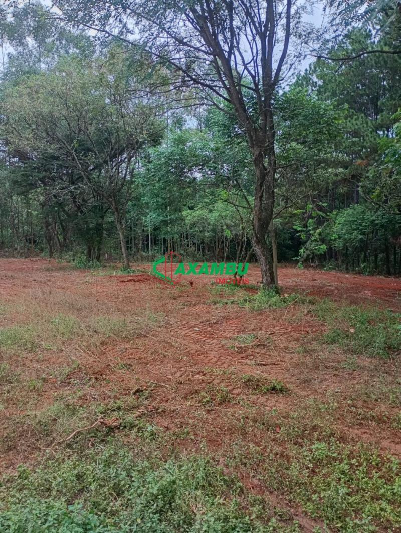 Terreno em JUNDIAÍ MIRIM, JUNDIAÍ - Terreno para locação em Jundiaí Mirim, 5.500 m² de área - Oportunidade única na cidade de Jundiaí-SP! - Foto 2