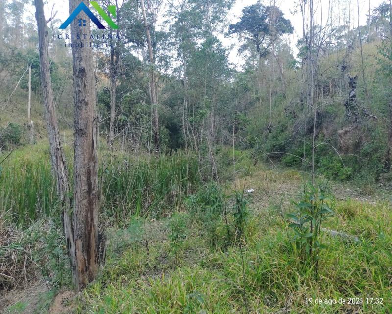 Terreno em VALE DAS CASTANHEIRAS, Campo Limpo Paulista - Comprar Terreno 5.195,97 m² Vale das Castanheiras Campo Limpo Paulista SP - Foto 3
