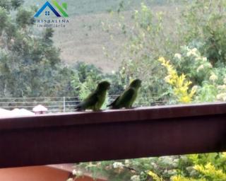 Chácara em PORTAL SÃO MARCELO, BRAGANÇA PAULISTA - Foto 34