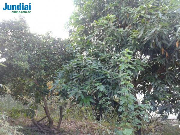 Terreno em Cidade Nova I , Jundiaí - Excelente Terreno Plano -Cidade Nova 1 - Foto 3